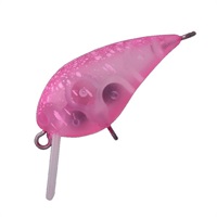 MINI KURA SS